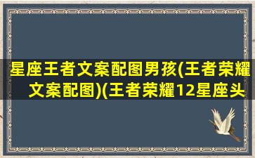 星座王者文案配图男孩(王者荣耀文案配图)(王者荣耀12星座头像男)