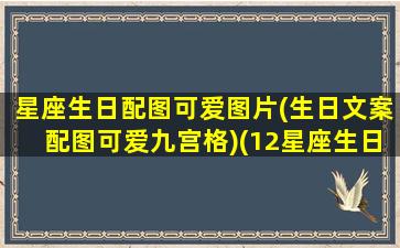 星座生日配图可爱图片(生日文案配图可爱九宫格)(12星座生日图)