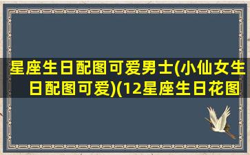 星座生日配图可爱男士(小仙女生日配图可爱)(12星座生日花图片大全)