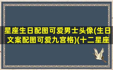 星座生日配图可爱男士头像(生日文案配图可爱九宫格)(十二星座专属生日网名)