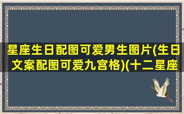 星座生日配图可爱男生图片(生日文案配图可爱九宫格)(十二星座专属生日网名)