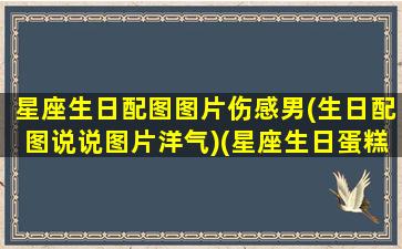 星座生日配图图片伤感男(生日配图说说图片洋气)(星座生日蛋糕图片)