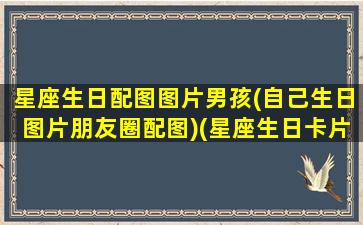 星座生日配图图片男孩(自己生日图片朋友圈配图)(星座生日卡片)