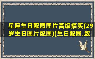 星座生日配图图片高级搞笑(29岁生日图片配图)(生日配图,致自己29岁)