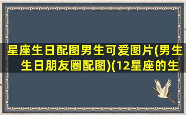 星座生日配图男生可爱图片(男生生日朋友圈配图)(12星座的生日图片)