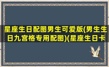 星座生日配图男生可爱版(男生生日九宫格专用配图)(星座生日卡)