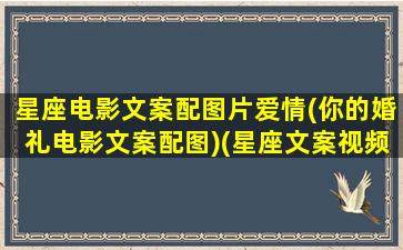 星座电影文案配图片爱情(你的婚礼电影文案配图)(星座文案视频)