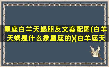 星座白羊天蝎朋友文案配图(白羊天蝎是什么象星座的)(白羊座天蝎座朋友关系)