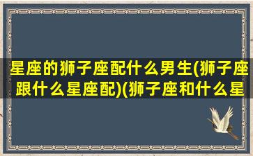 星座的狮子座配什么男生(狮子座跟什么星座配)(狮子座和什么星座最配做男朋友)