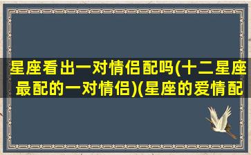 星座看出一对情侣配吗(十二星座最配的一对情侣)(星座的爱情配对准吗)