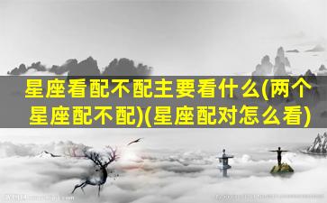 星座看配不配主要看什么(两个星座配不配)(星座配对怎么看)