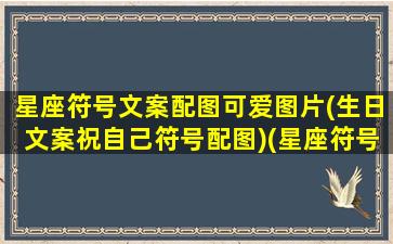 星座符号文案配图可爱图片(生日文案祝自己符号配图)(星座符号大全花样符号)