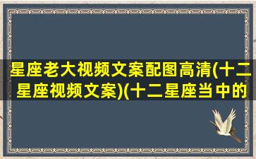 星座老大视频文案配图高清(十二星座视频文案)(十二星座当中的短视频)