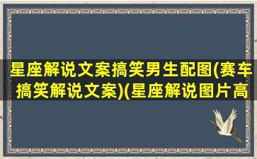 星座解说文案搞笑男生配图(赛车搞笑解说文案)(星座解说图片高清)