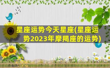 星座运势今天星座(星座运势2023年摩羯座的运势)