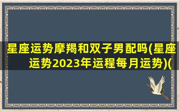 星座运势摩羯和双子男配吗(星座运势2023年运程每月运势)(摩羯和双子座配对指数多少)