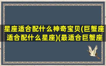 星座适合配什么神奇宝贝(巨蟹座适合配什么星座)(最适合巨蟹座的星座配对)