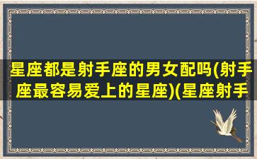 星座都是射手座的男女配吗(射手座最容易爱上的星座)(星座射手星座的男人性格)