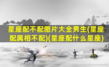 星座配不配图片大全男生(星座配属相不配)(星座配什么星座)