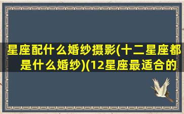 星座配什么婚纱摄影(十二星座都是什么婚纱)(12星座最适合的婚纱裙,图片)