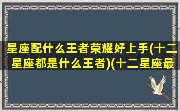 星座配什么王者荣耀好上手(十二星座都是什么王者)(十二星座最适合王者里的什么英雄)