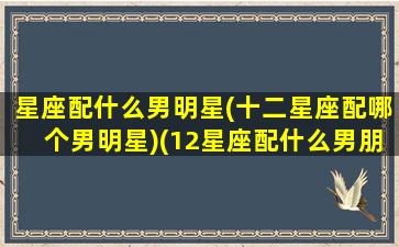 星座配什么男明星(十二星座配哪个男明星)(12星座配什么男朋友)