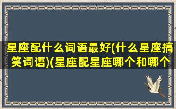 星座配什么词语最好(什么星座搞笑词语)(星座配星座哪个和哪个最配)