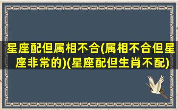 星座配但属相不合(属相不合但星座非常的)(星座配但生肖不配)