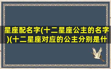 星座配名字(十二星座公主的名字)(十二星座对应的公主分别是什么)