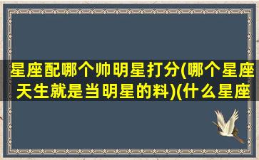 星座配哪个帅明星打分(哪个星座天生就是当明星的料)(什么星座最配当明星)