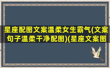 星座配图文案温柔女生霸气(文案句子温柔干净配图)(星座文案图片)