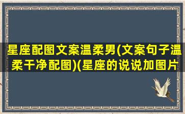 星座配图文案温柔男(文案句子温柔干净配图)(星座的说说加图片)