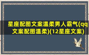 星座配图文案温柔男人霸气(qq文案配图温柔)(12星座文案)