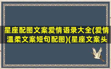 星座配图文案爱情语录大全(爱情温柔文案短句配图)(星座文案头像)