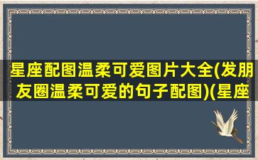 星座配图温柔可爱图片大全(发朋友圈温柔可爱的句子配图)(星座唯美壁纸)