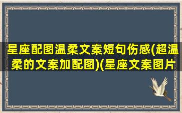 星座配图温柔文案短句伤感(超温柔的文案加配图)(星座文案图片)