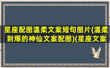 星座配图温柔文案短句图片(温柔到爆的神仙文案配图)(星座文案馆图片)