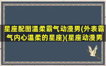 星座配图温柔霸气动漫男(外表霸气内心温柔的星座)(星座动漫男头像)