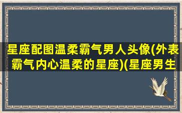 星座配图温柔霸气男人头像(外表霸气内心温柔的星座)(星座男生专属头像)