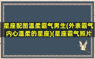 星座配图温柔霸气男生(外表霸气内心温柔的星座)(星座霸气照片)