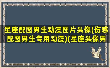 星座配图男生动漫图片头像(伤感配图男生专用动漫)(星座头像男生射手座)