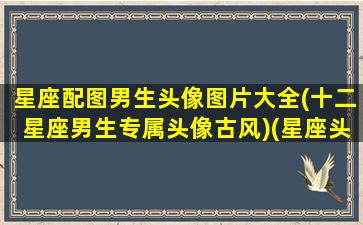 星座配图男生头像图片大全(十二星座男生专属头像古风)(星座头像男生射手座)