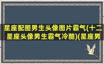 星座配图男生头像图片霸气(十二星座头像男生霸气冷酷)(星座男生头像动漫图片)