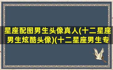 星座配图男生头像真人(十二星座男生炫酷头像)(十二星座男生专属头像带字)