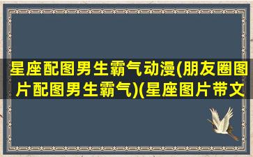 星座配图男生霸气动漫(朋友圈图片配图男生霸气)(星座图片带文字的)