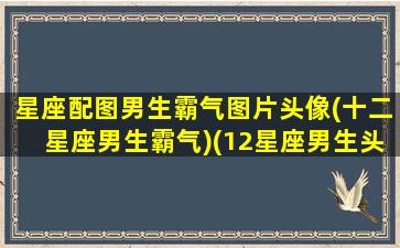 星座配图男生霸气图片头像(十二星座男生霸气)(12星座男生头像动漫卡通带字图片)