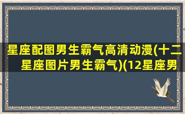 星座配图男生霸气高清动漫(十二星座图片男生霸气)(12星座男照片)