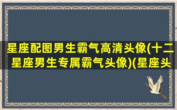 星座配图男生霸气高清头像(十二星座男生专属霸气头像)(星座头像男生带字霸气)