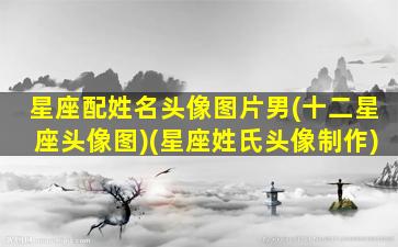 星座配姓名头像图片男(十二星座头像图)(星座姓氏头像制作)