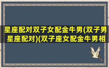 星座配对双子女配金牛男(双子男星座配对)(双子座女配金牛男相配吗)